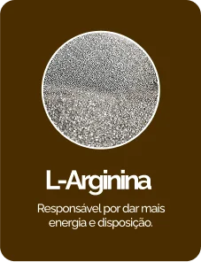 Group 40