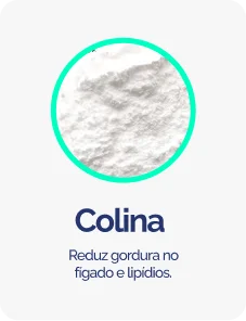 Colina