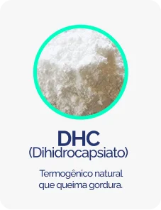 DHC 01