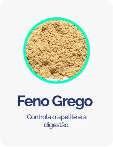 Feno Grego