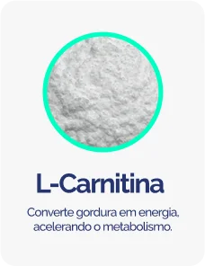 L CARTININA
